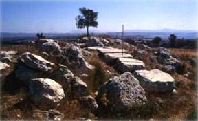 teos1